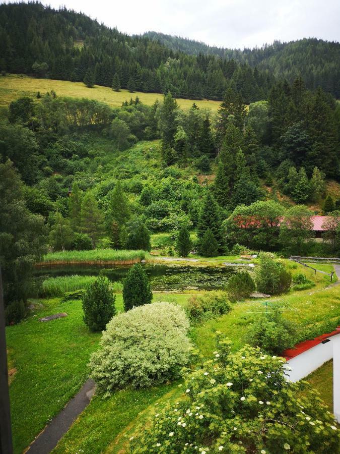 Grassegger Appartementhaus Sankt Johann am Tauern Екстер'єр фото