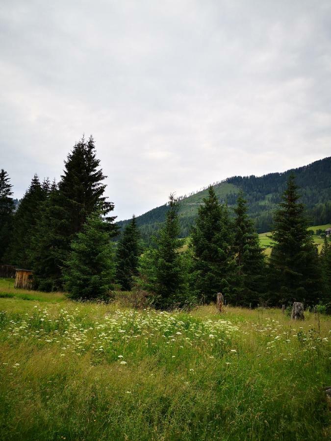 Grassegger Appartementhaus Sankt Johann am Tauern Екстер'єр фото